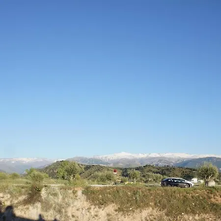 Comfortable Single Bluing