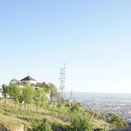 Comfortable Single Bluing B&B